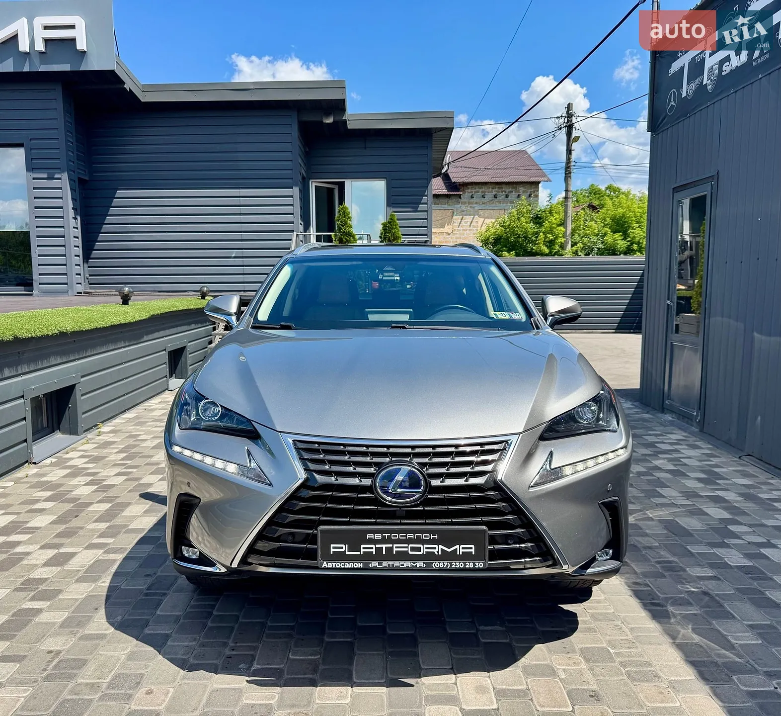 2019 Lexus NX - мініатюра 2