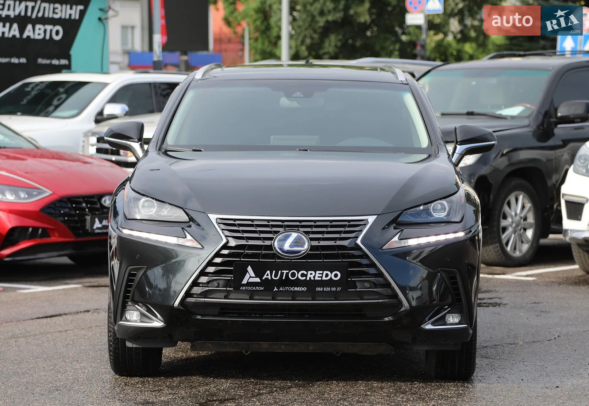 2019 Lexus NX - мініатюра 2