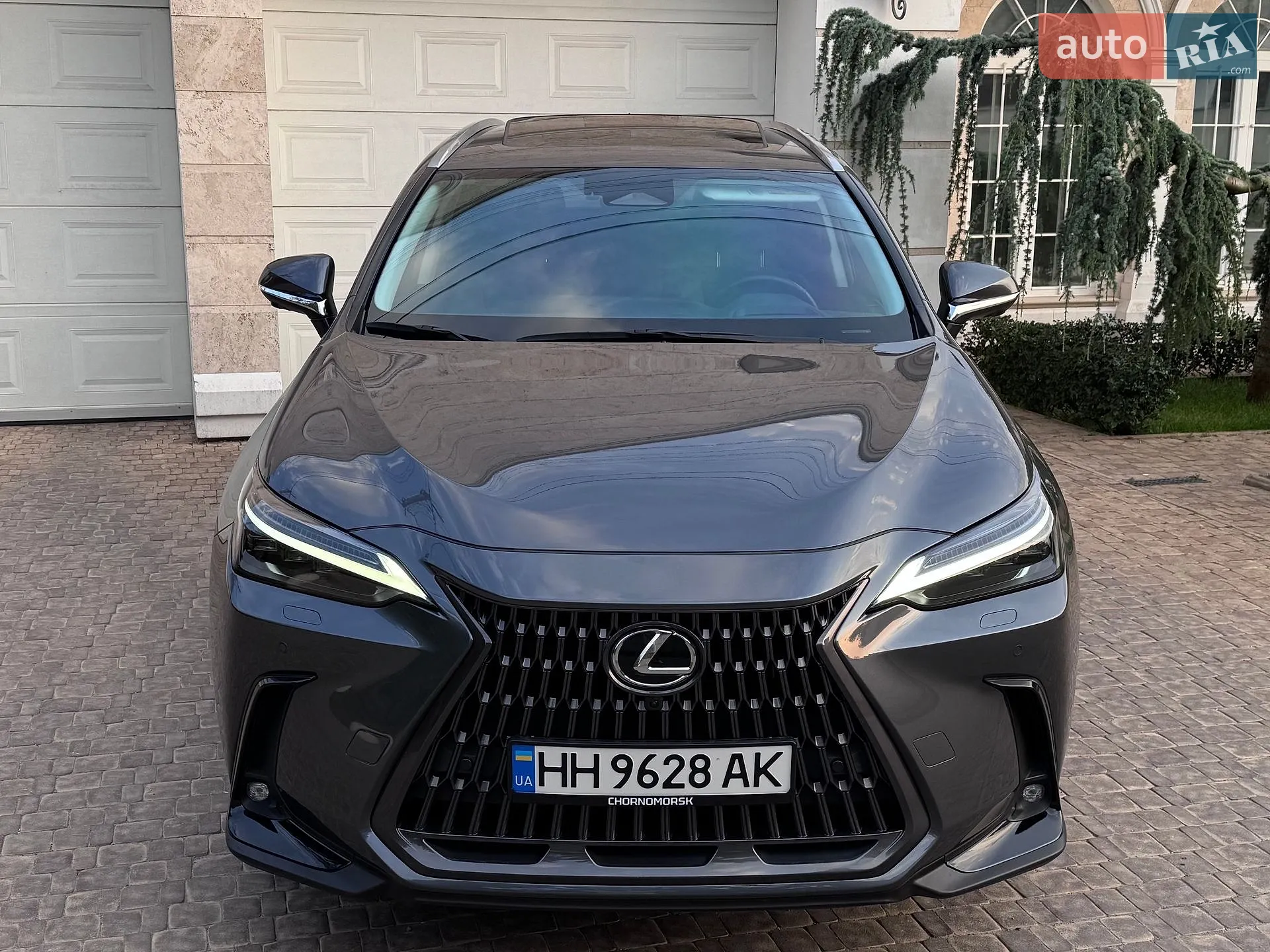 2022 Lexus NX - мініатюра 8