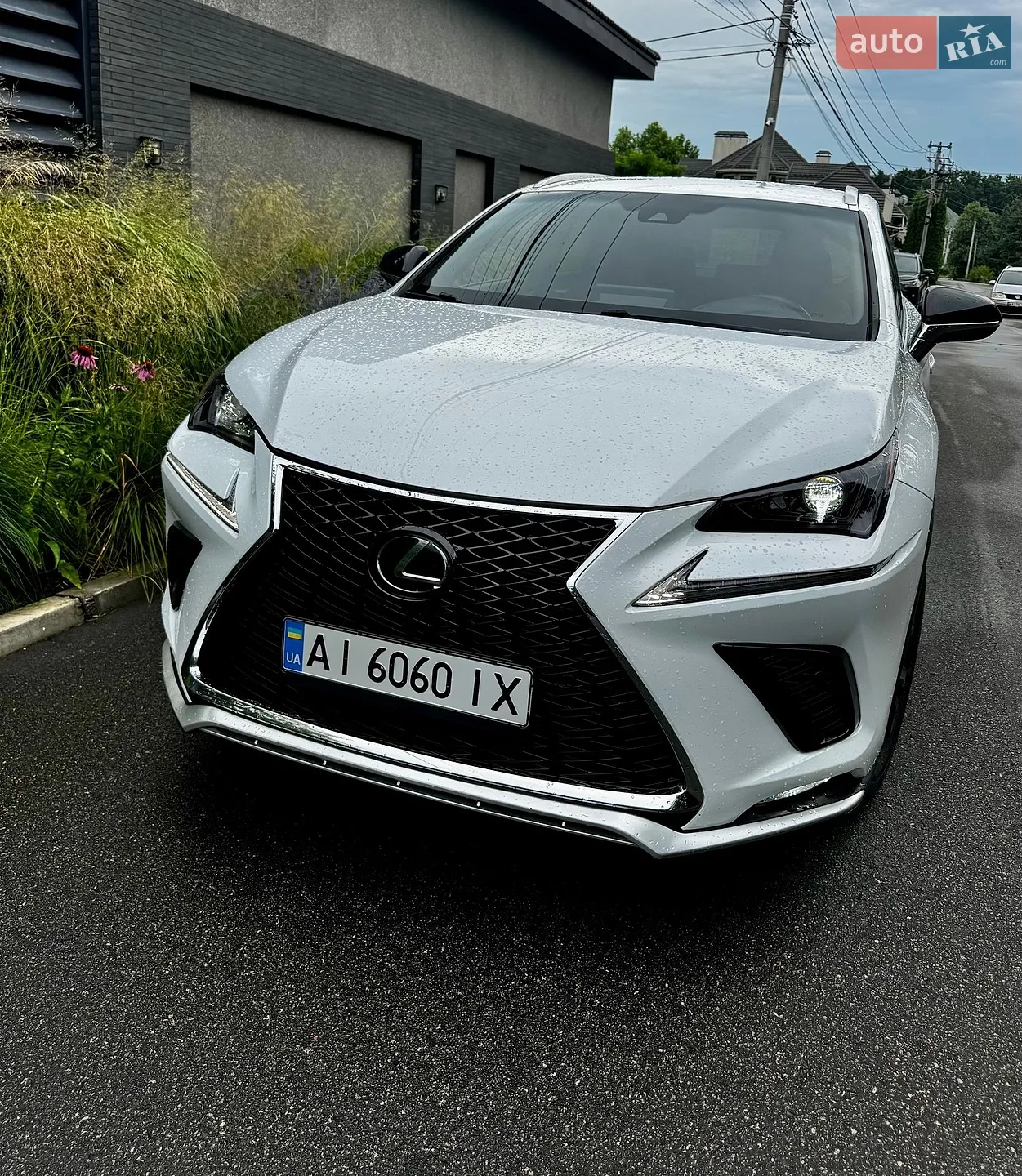 2021 Lexus NX - мініатюра 5