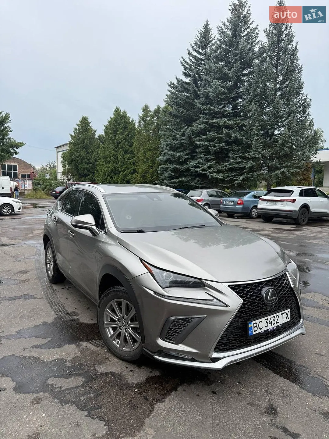 2019 Lexus NX - фото 1