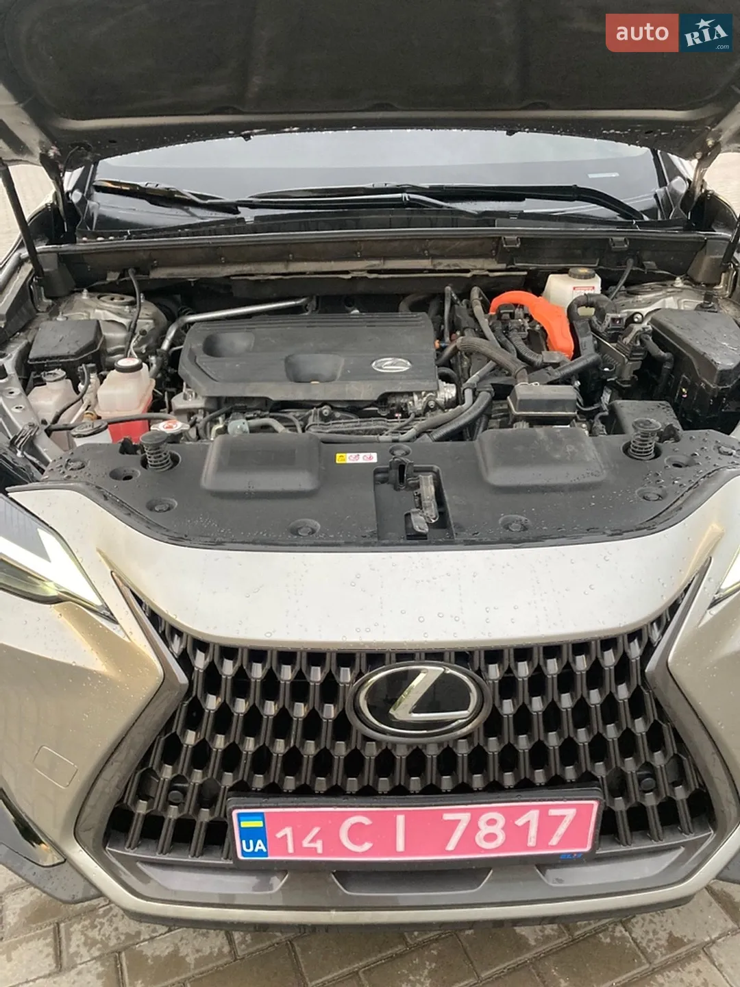 2022 Lexus NX - мініатюра 8