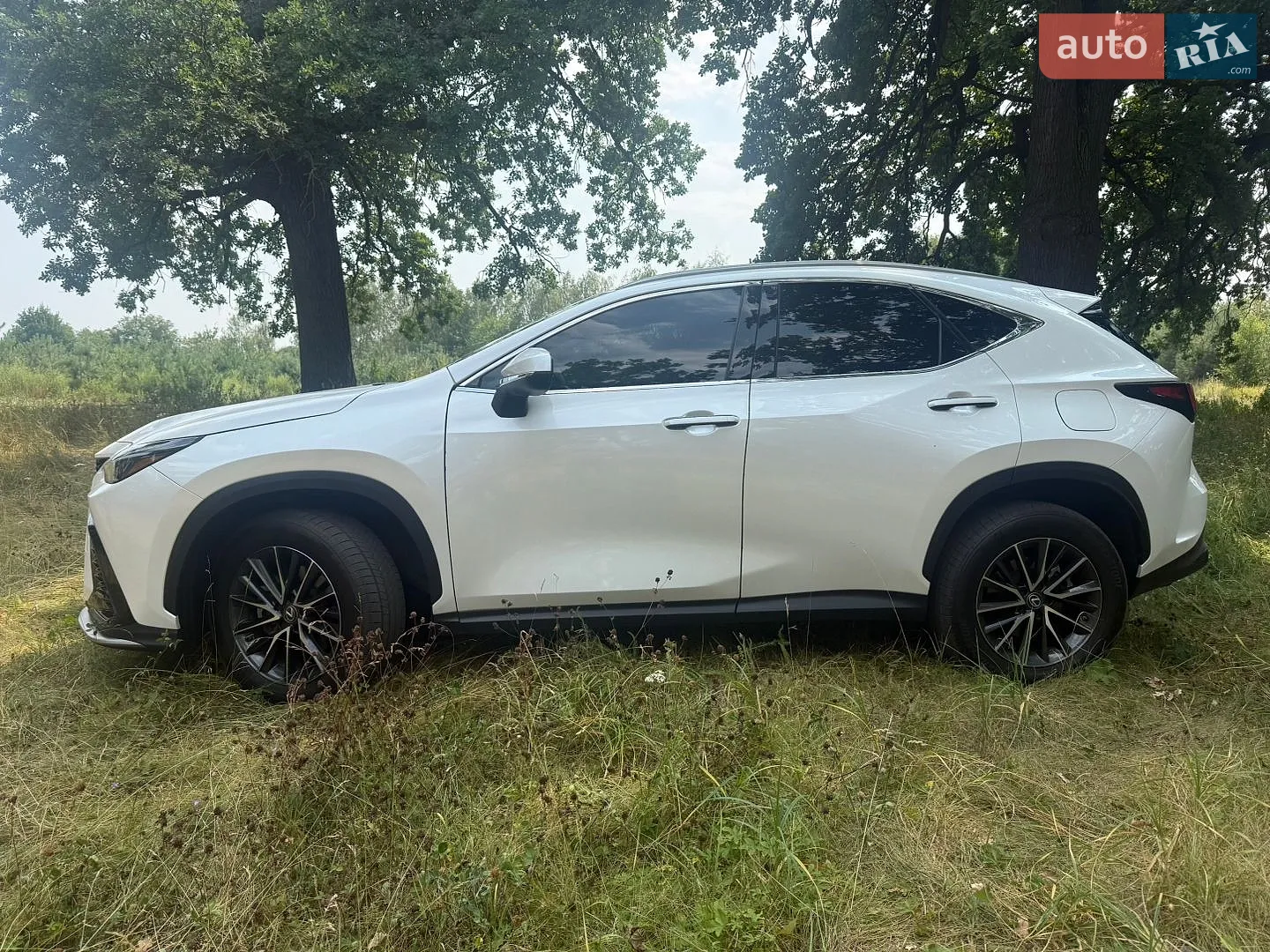 2022 Lexus NX - мініатюра 8