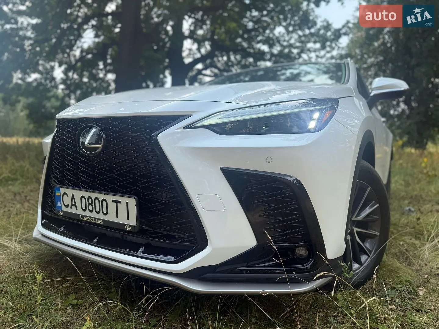2022 Lexus NX - мініатюра 4