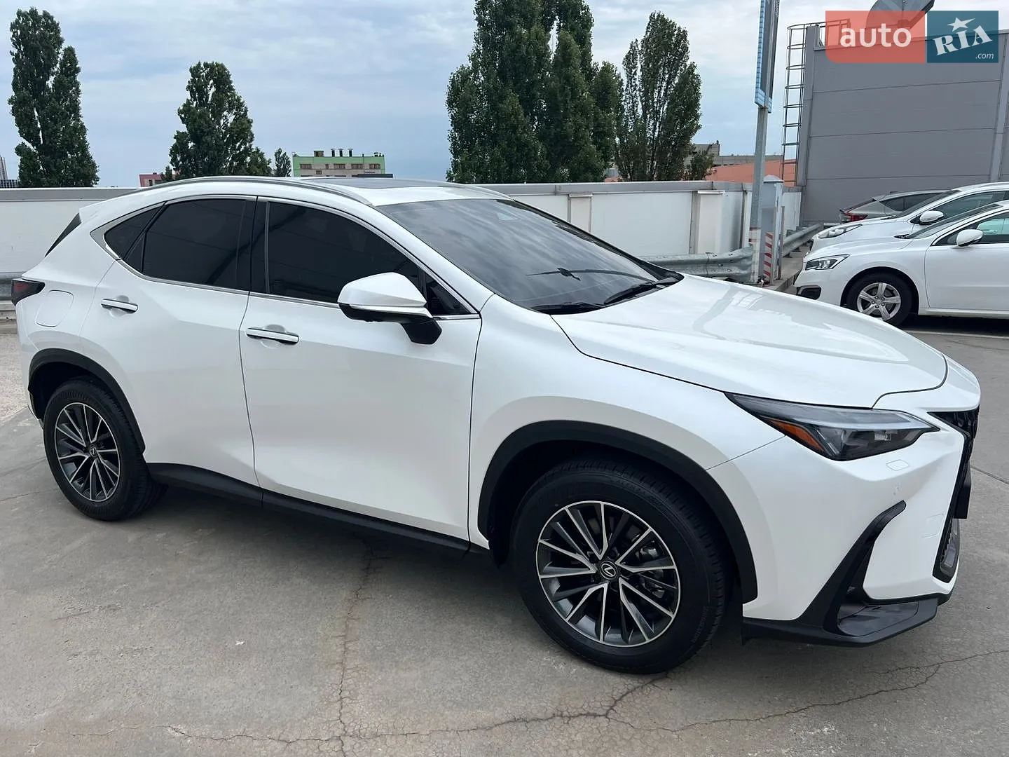 2025 Lexus NX - мініатюра 20