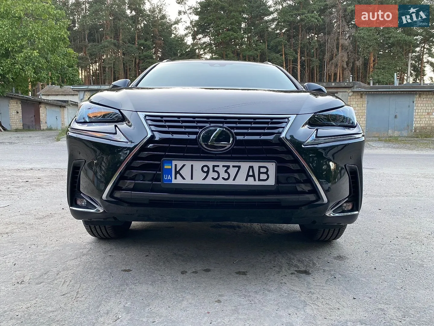 2019 Lexus NX - мініатюра 10