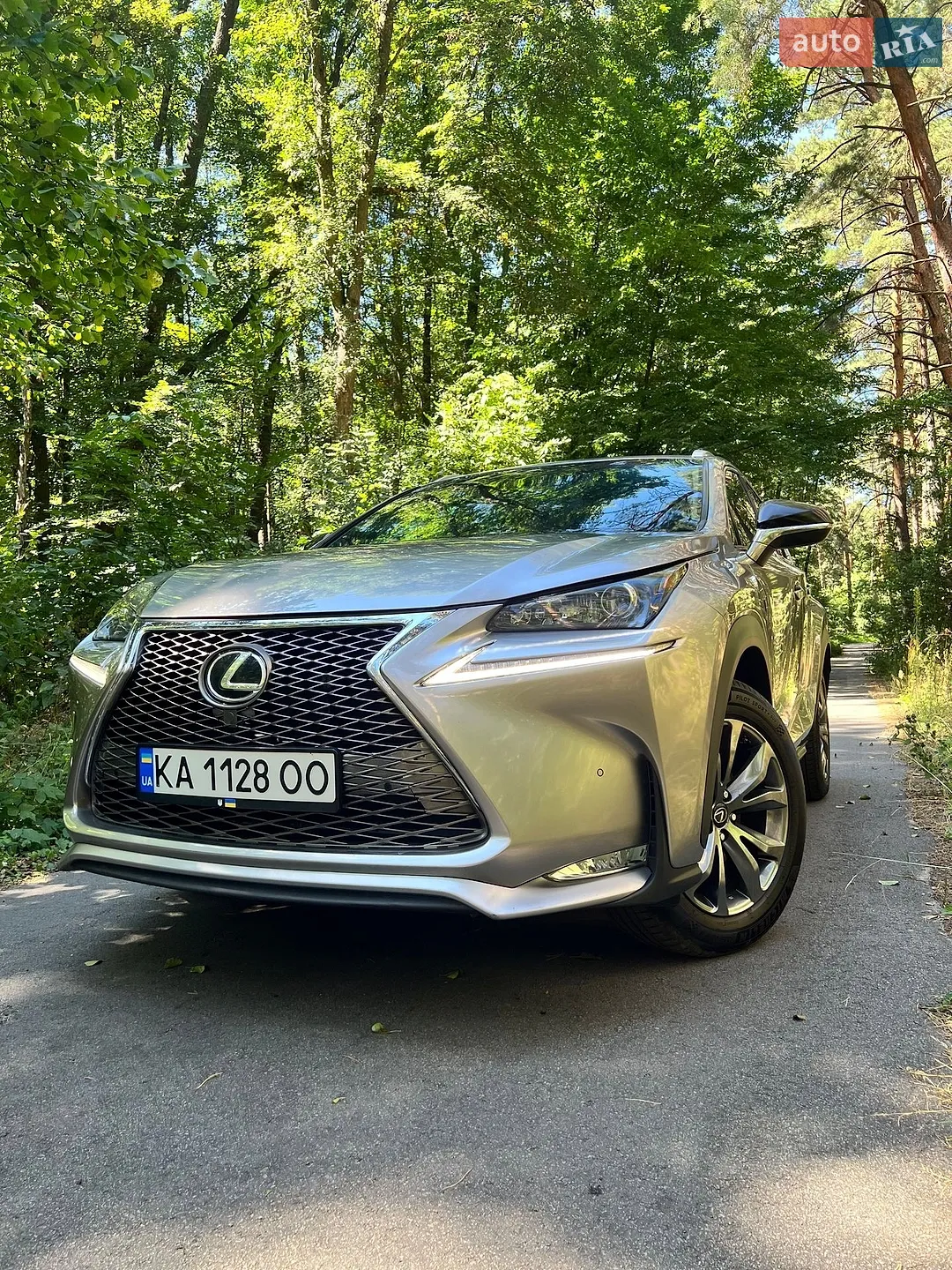 2016 Lexus NX - мініатюра 9