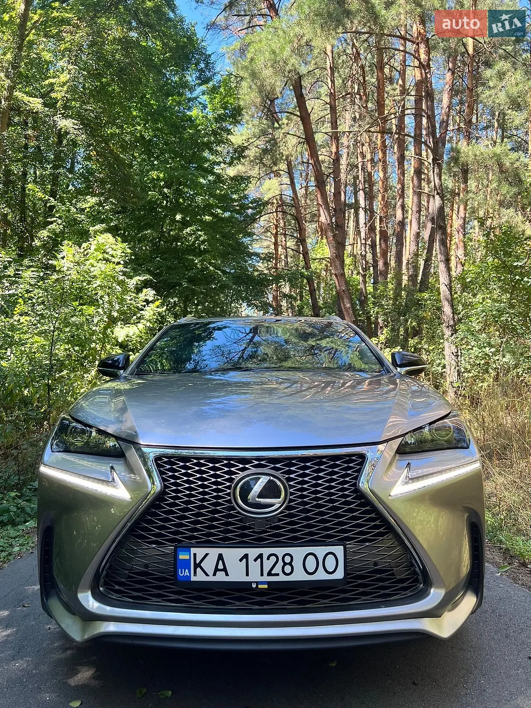 2016 Lexus NX - мініатюра 11