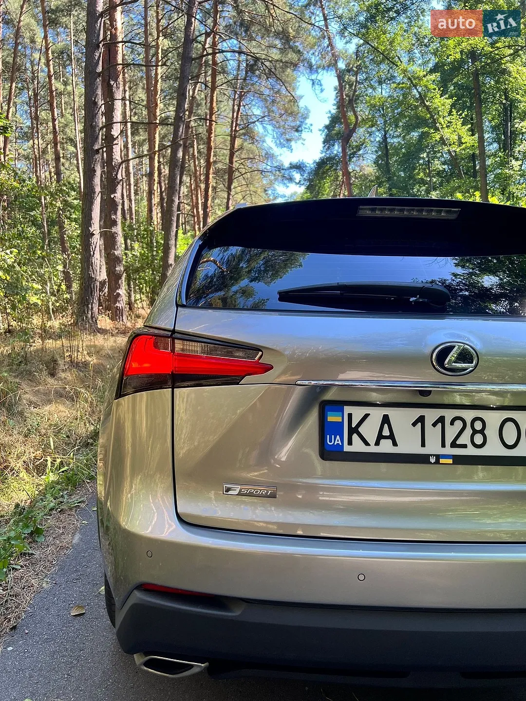 2016 Lexus NX - мініатюра 13
