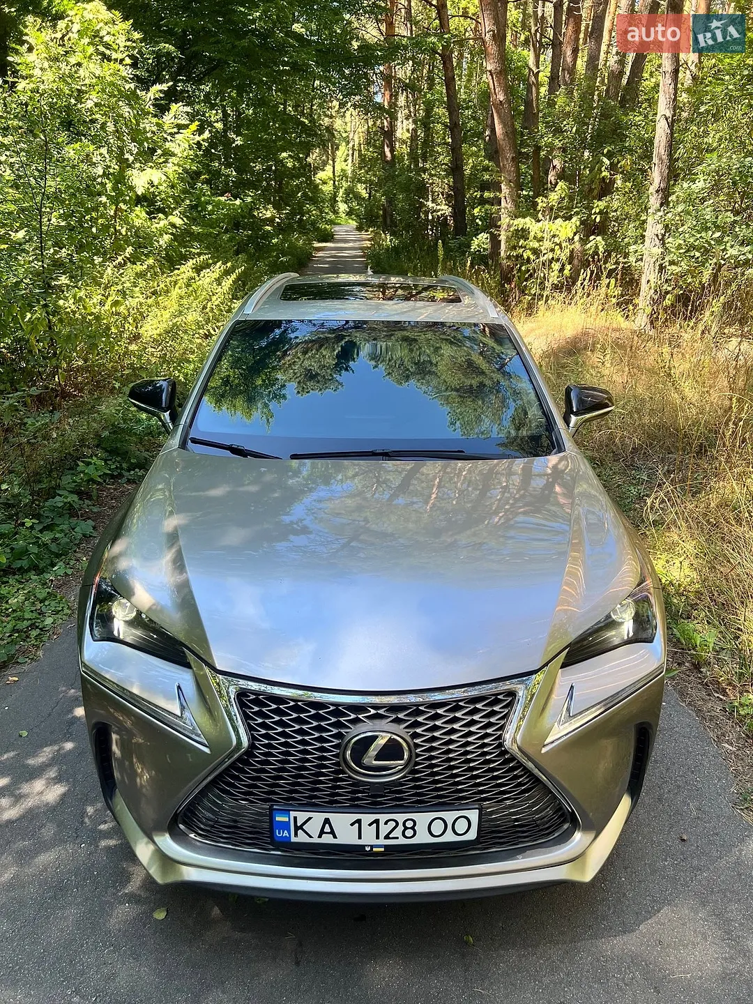 2016 Lexus NX - мініатюра 12