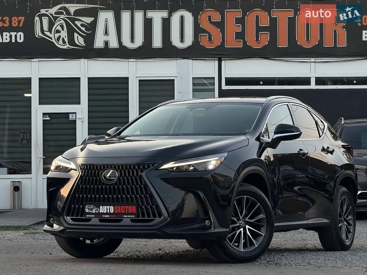 2022 Lexus NX - мініатюра 19