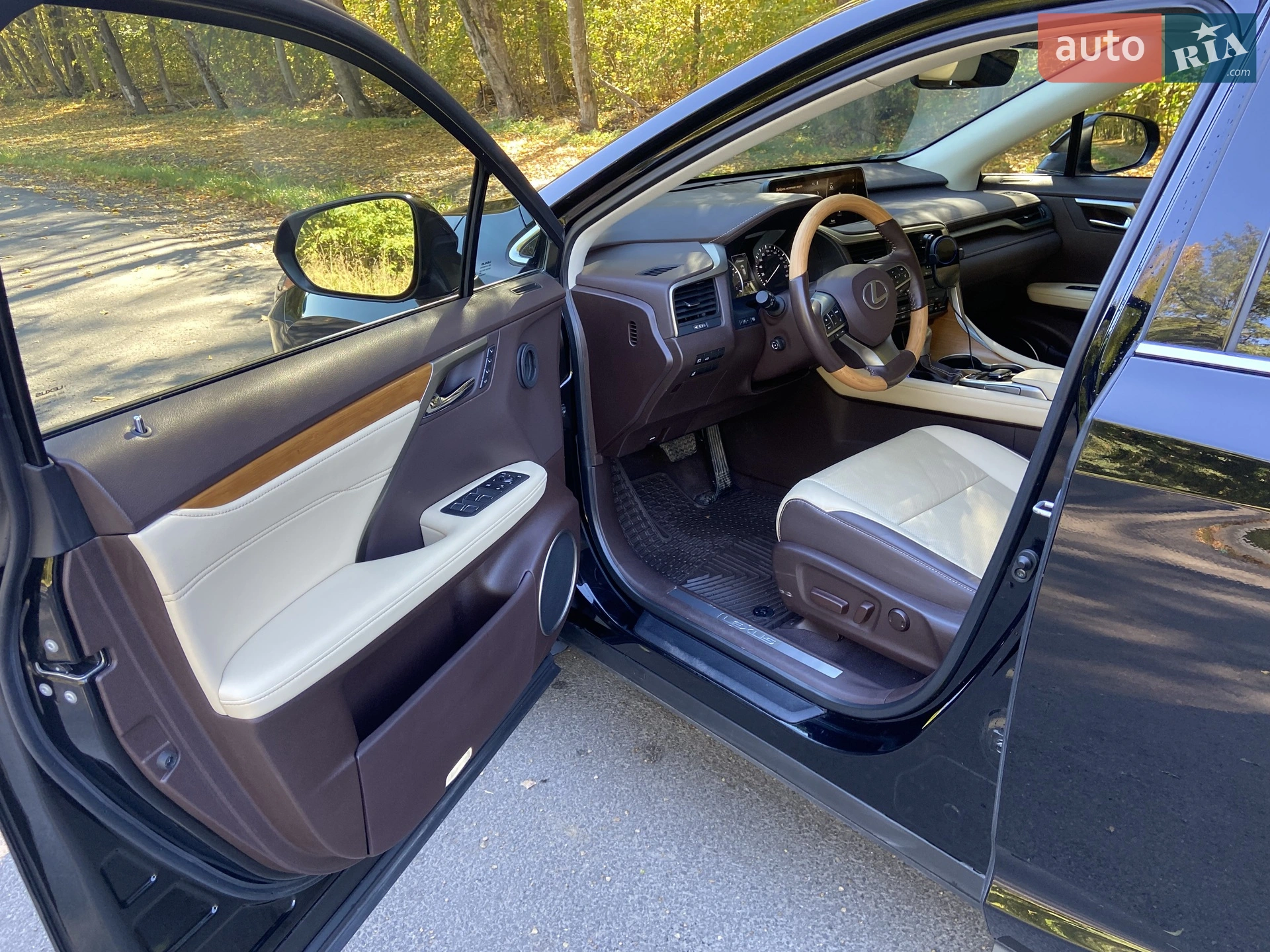 2019 Lexus RX - мініатюра 5
