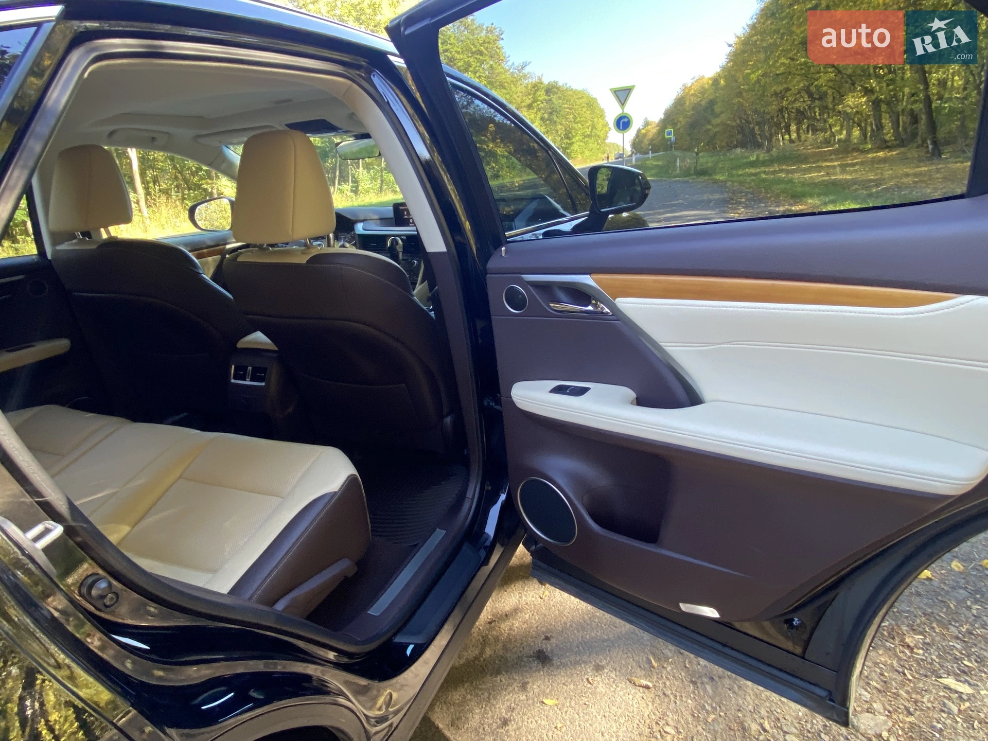 2019 Lexus RX - мініатюра 21