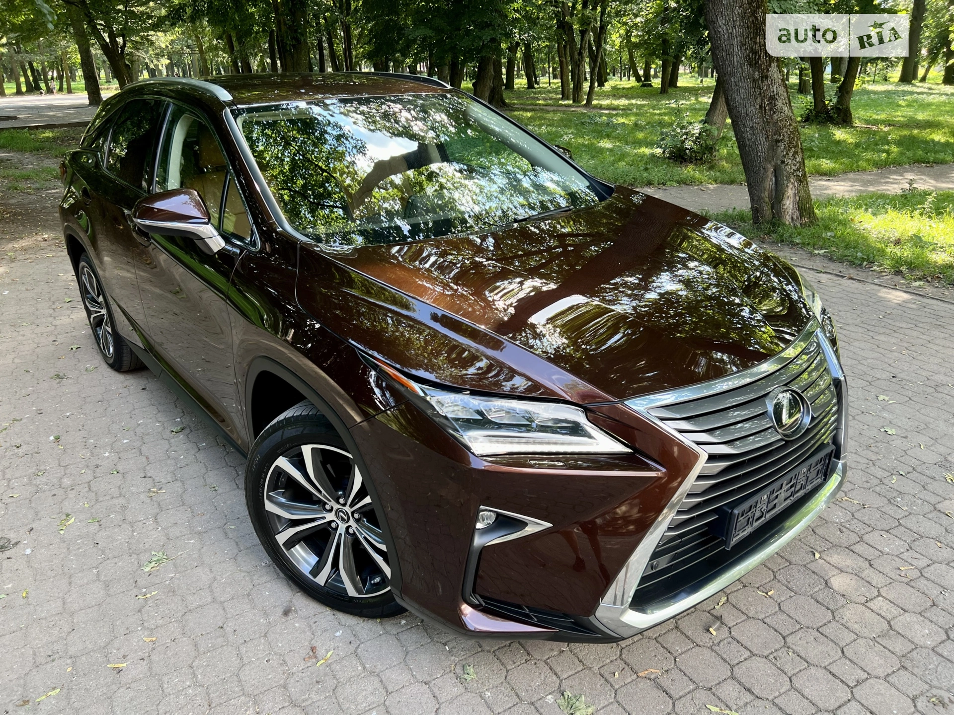 2019 Lexus RX - мініатюра 2