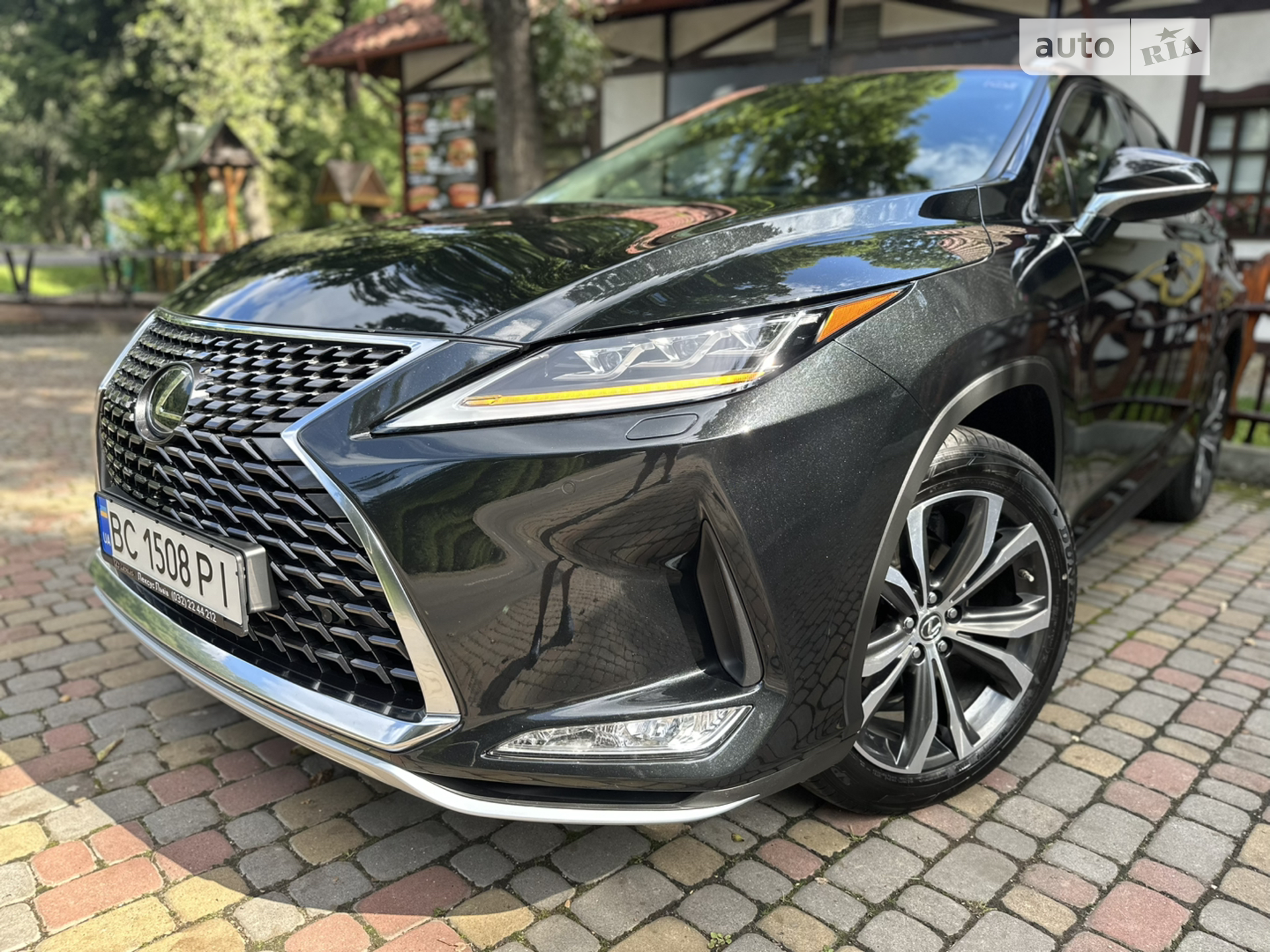 2019 Lexus RX - фото 1