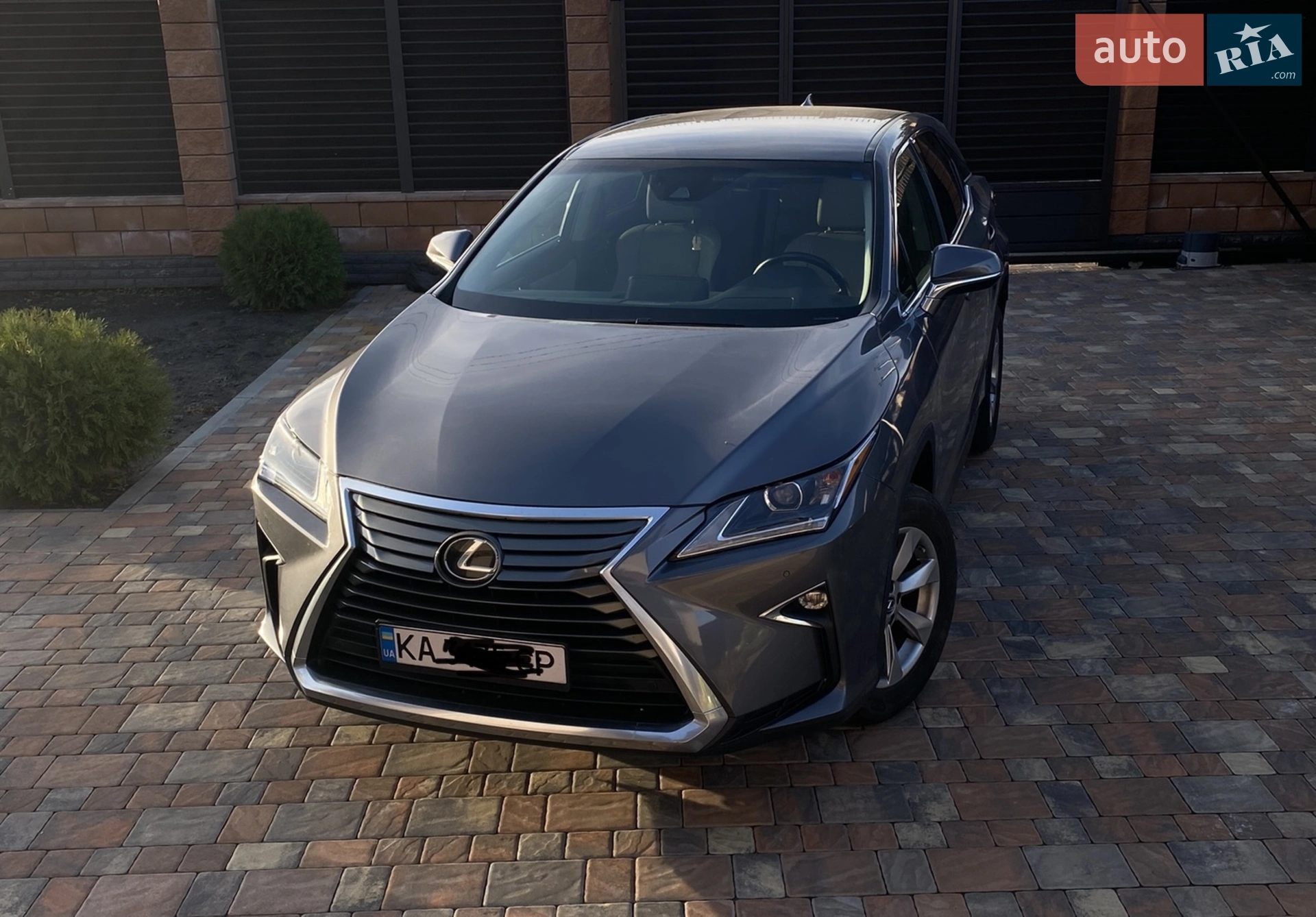 2019 Lexus RX - мініатюра 2