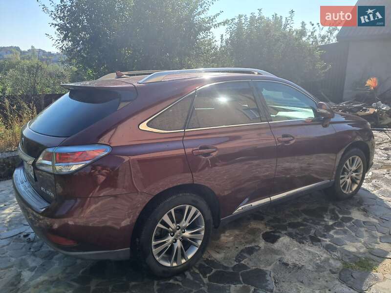 Внедорожник / Кроссовер Lexus RX 2012 в Василькове фото 14 Внедорожник / Кроссовер Lexus RX 2012 в Василькове
