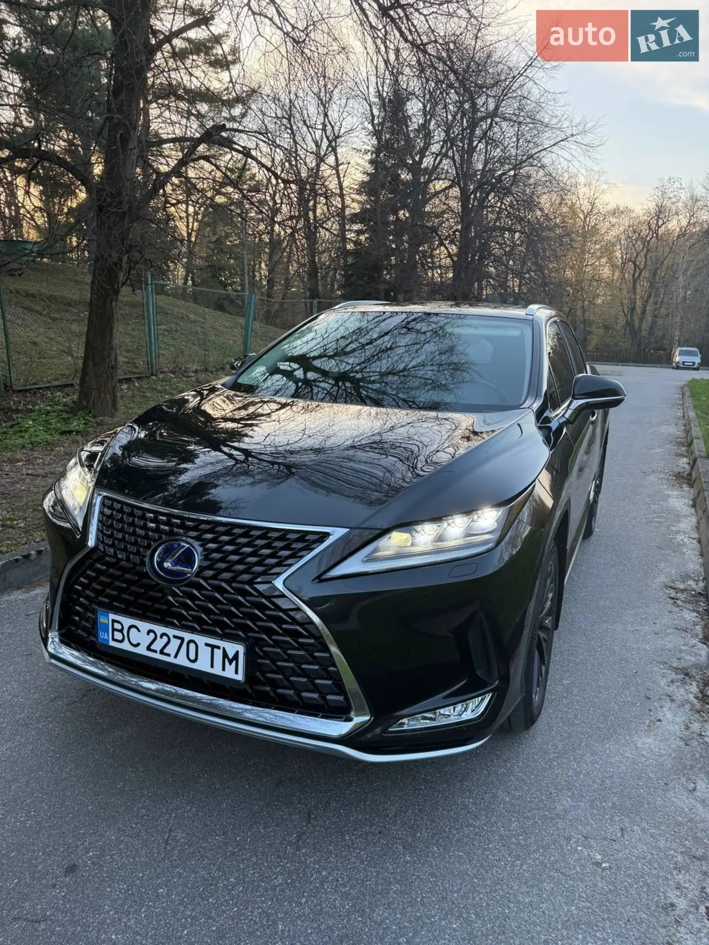 2022 Lexus RX - мініатюра 6