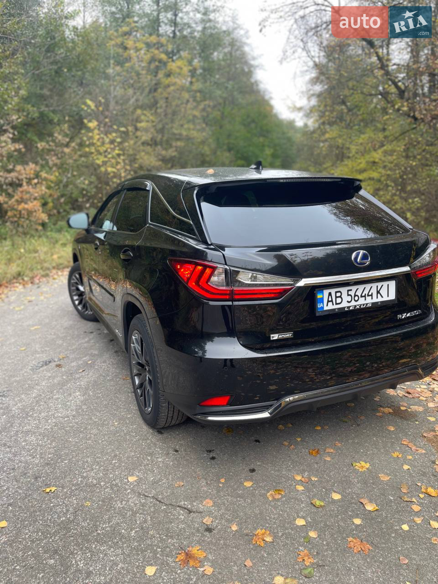 2020 Lexus RX - мініатюра 16