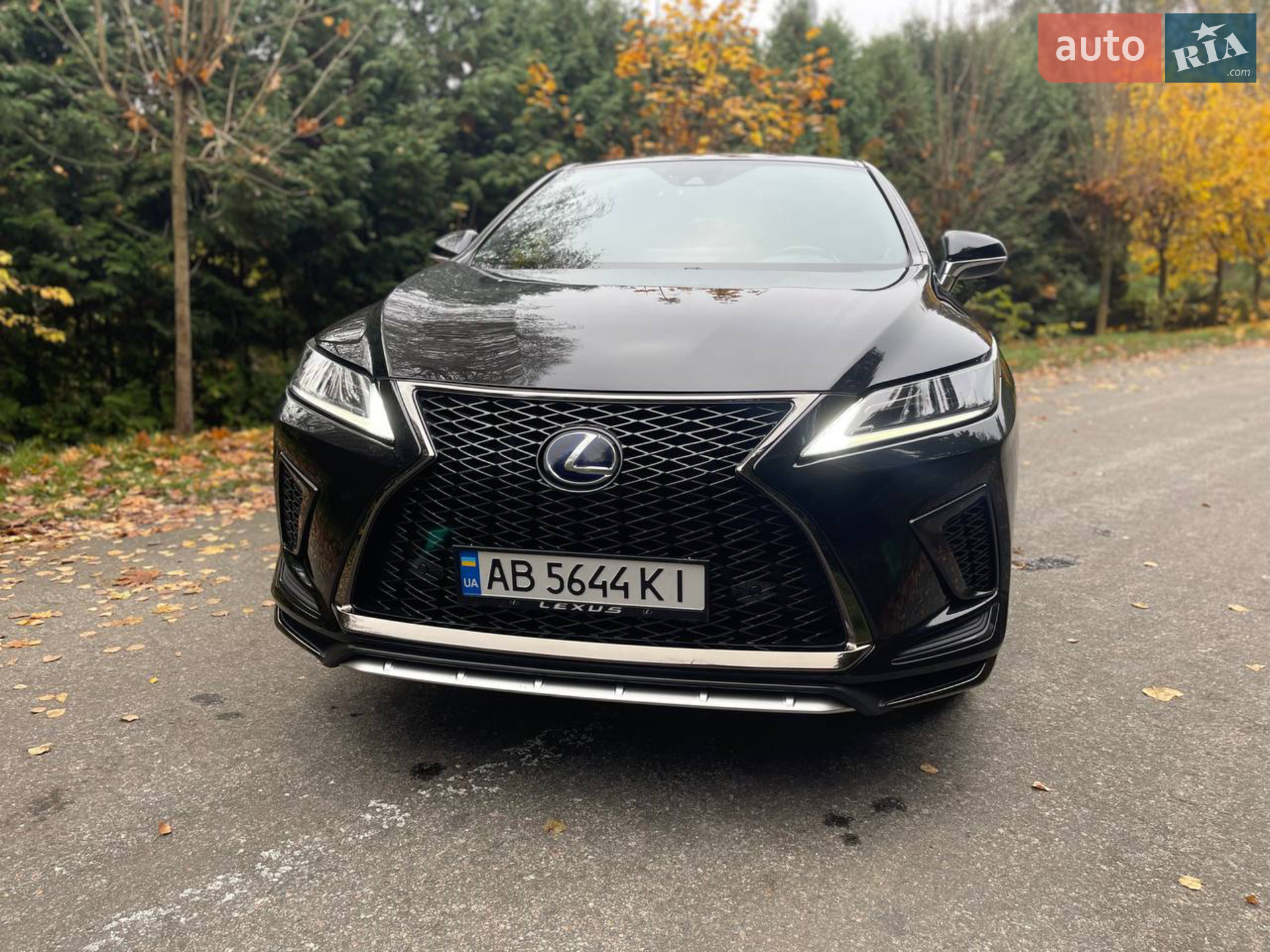 2020 Lexus RX - мініатюра 31
