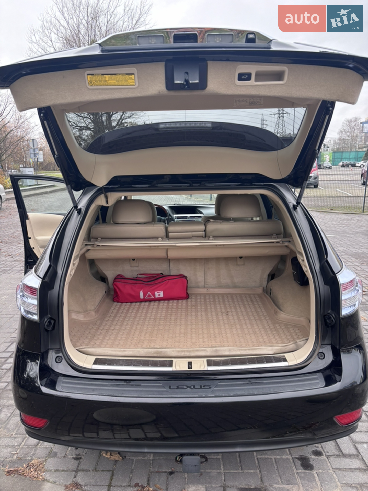 2011 Lexus RX - мініатюра 9