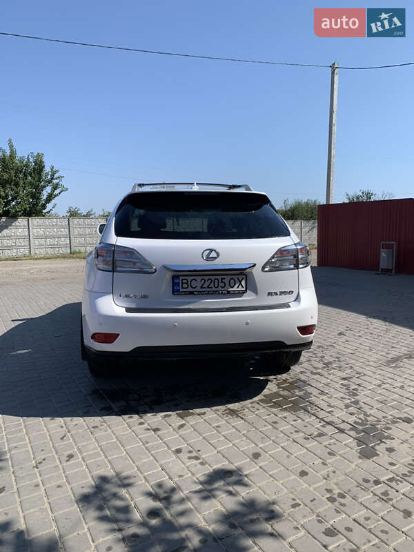 Позашляховик / Кросовер Lexus RX 2010 в Кам'янці-Бузькій