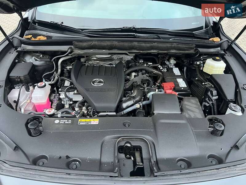 Внедорожник / Кроссовер Lexus RX 2024 в Костополе