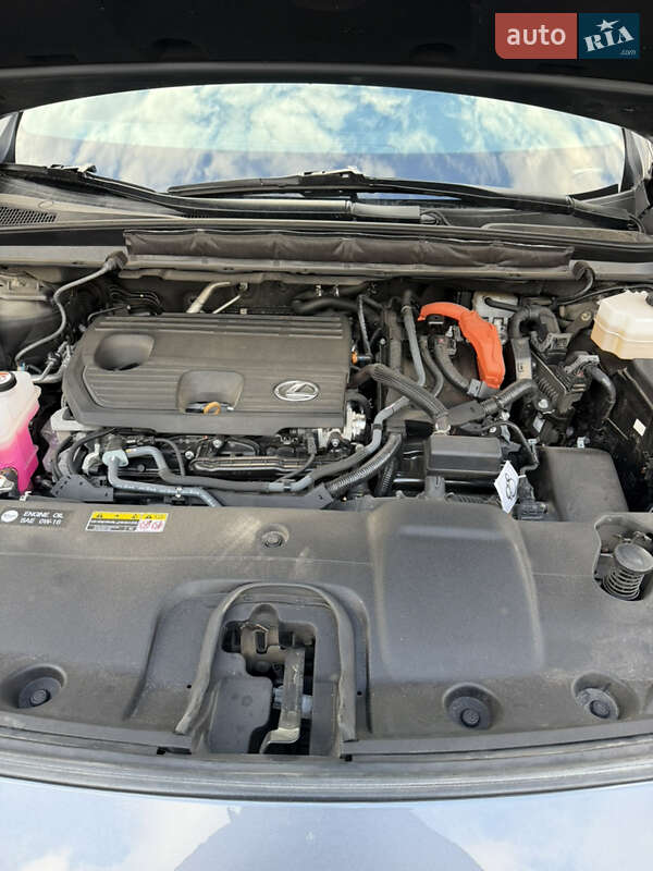 Внедорожник / Кроссовер Lexus RX 2023 в Львове фото 13 Внедорожник / Кроссовер Lexus RX 2023 в Львове