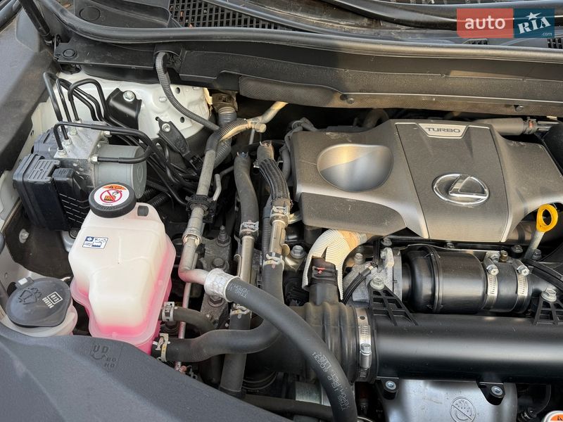 Позашляховик / Кросовер Lexus RX 2020 в Дніпрі фото 30 Позашляховик / Кросовер Lexus RX 2020 в Дніпрі