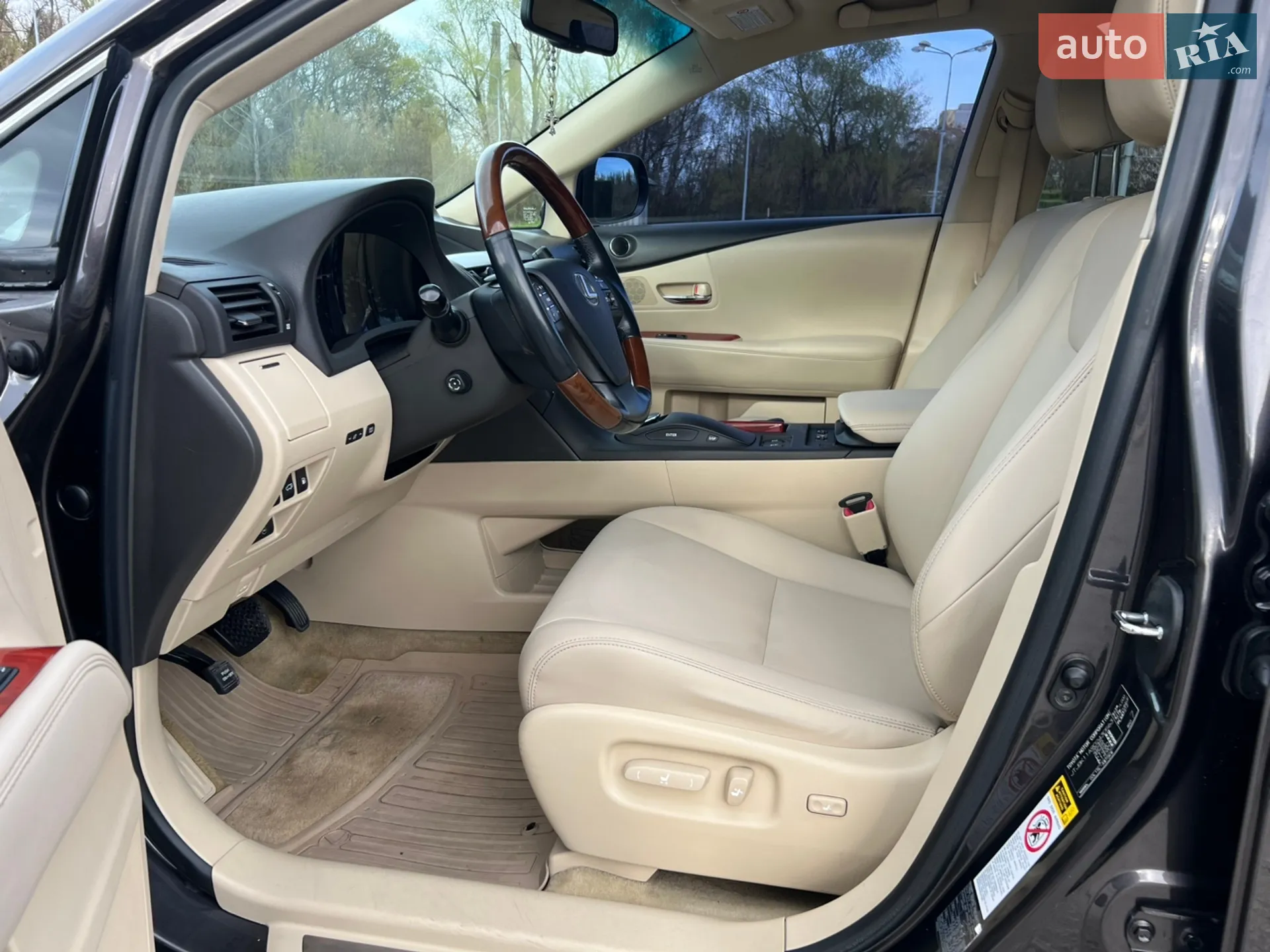 2010 Lexus RX - мініатюра 19