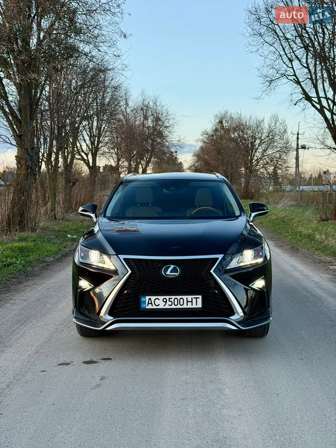 2015 Lexus RX - мініатюра 2