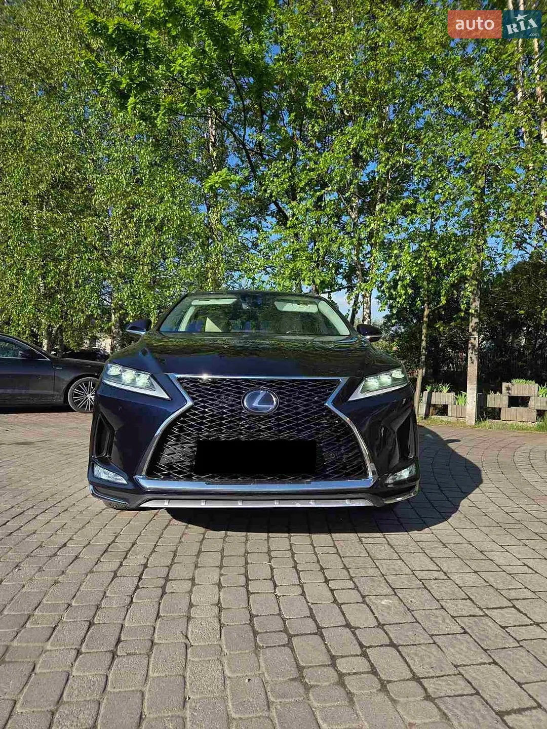 2019 Lexus RX - мініатюра 20