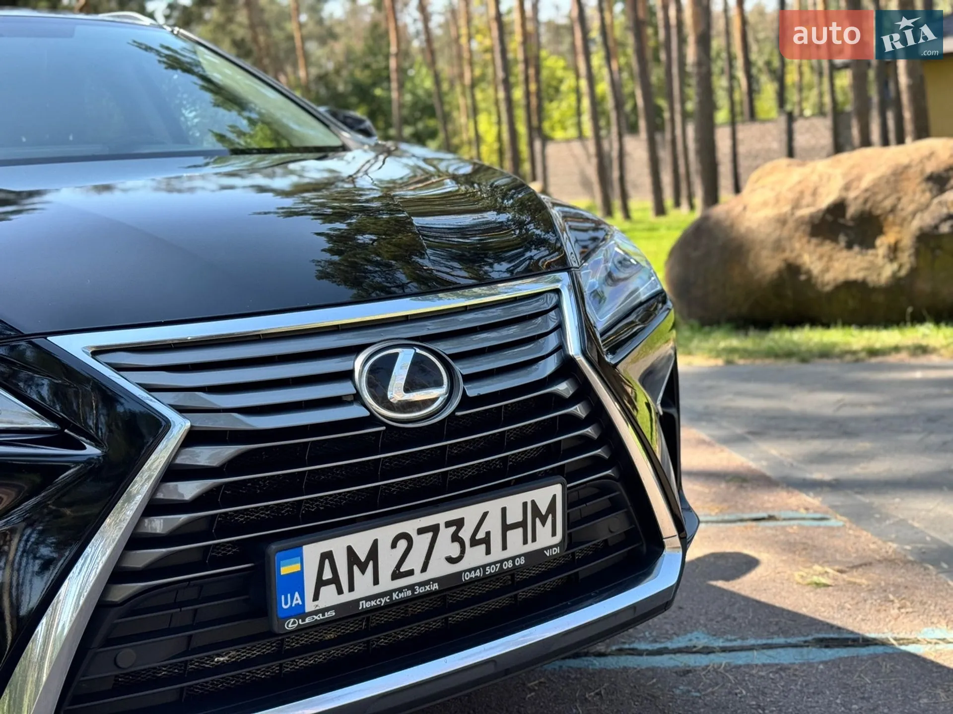 2019 Lexus RX - мініатюра 3