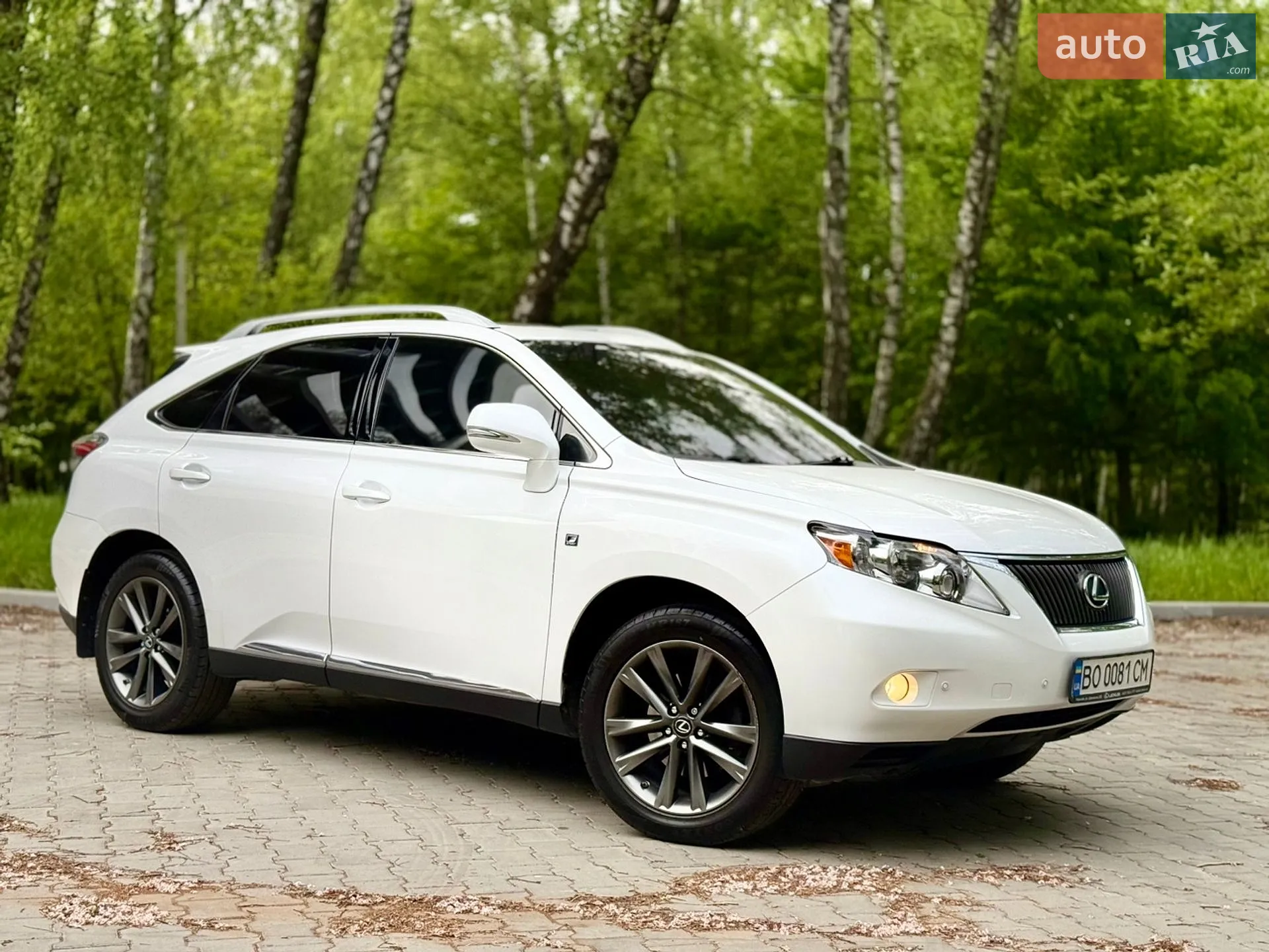 2010 Lexus RX - фото 1
