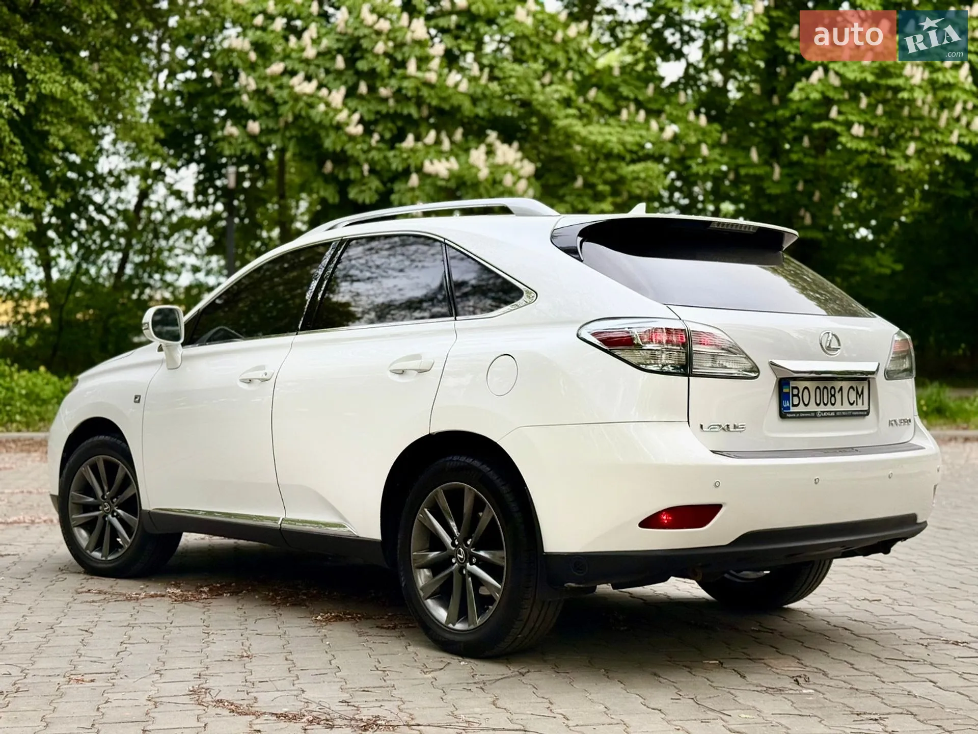 2010 Lexus RX - мініатюра 10