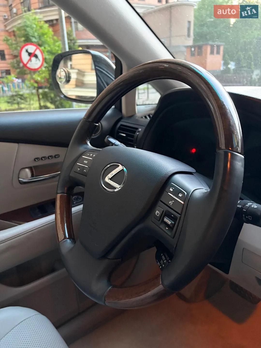 2010 Lexus RX - мініатюра 23