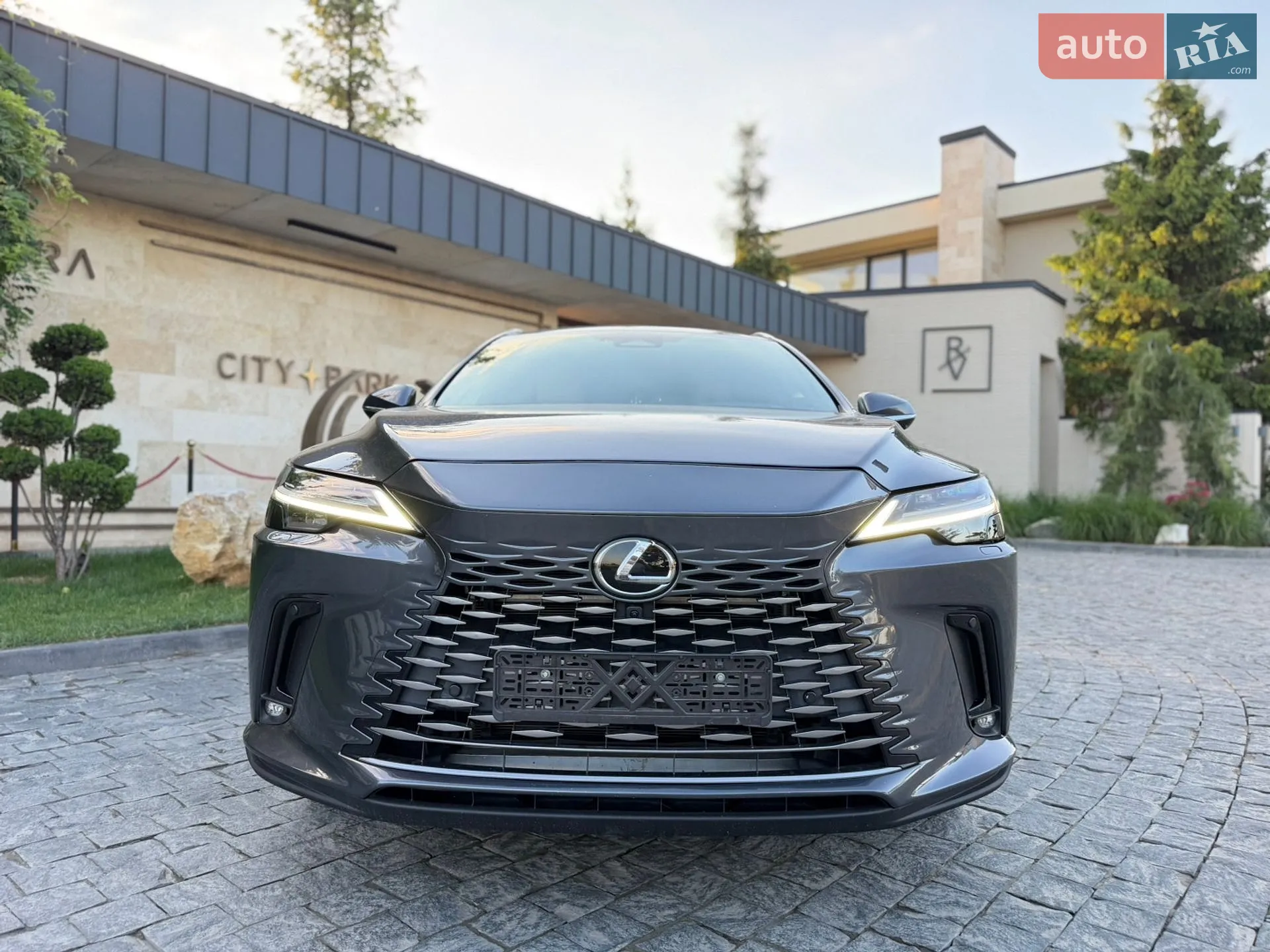 2024 Lexus RX - мініатюра 19