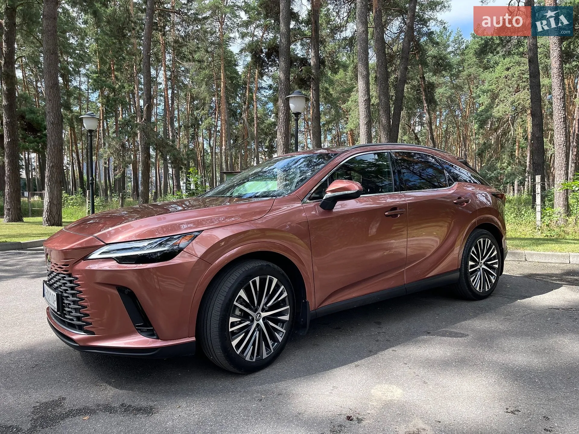 2024 Lexus RX - мініатюра 25