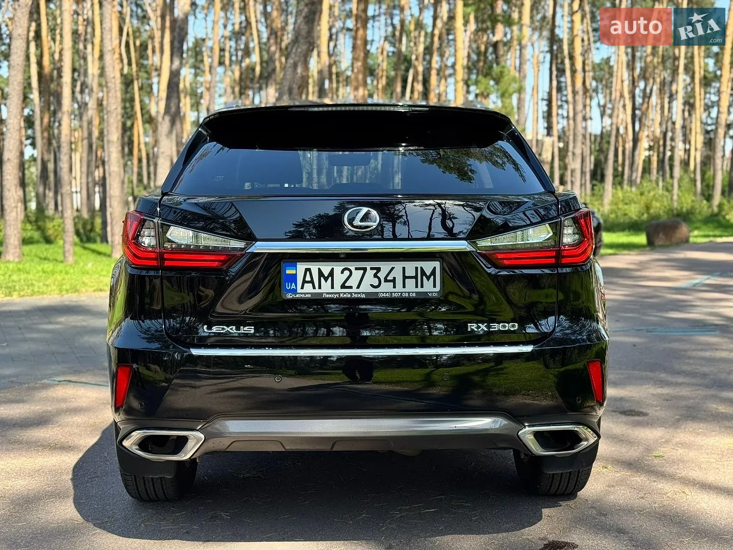 2019 Lexus RX - мініатюра 13