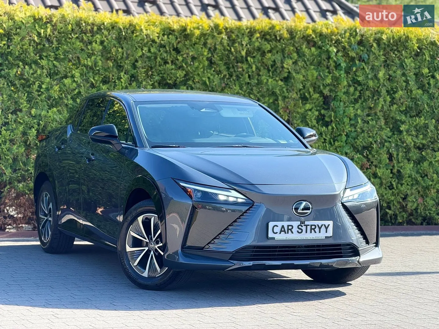 2024 Lexus RZ - мініатюра 10