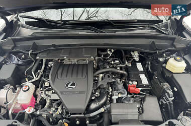 Внедорожник / Кроссовер Lexus TX 2024 в Киеве