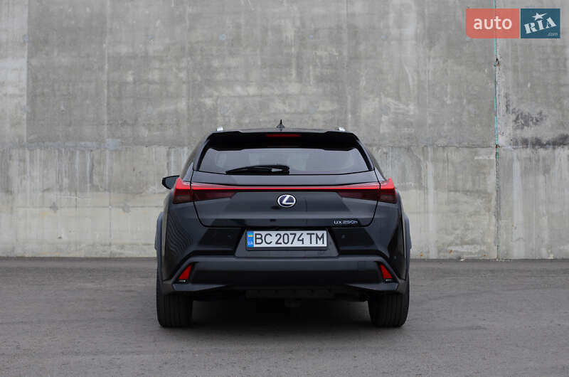 Позашляховик / Кросовер Lexus UX 2019 в Львові