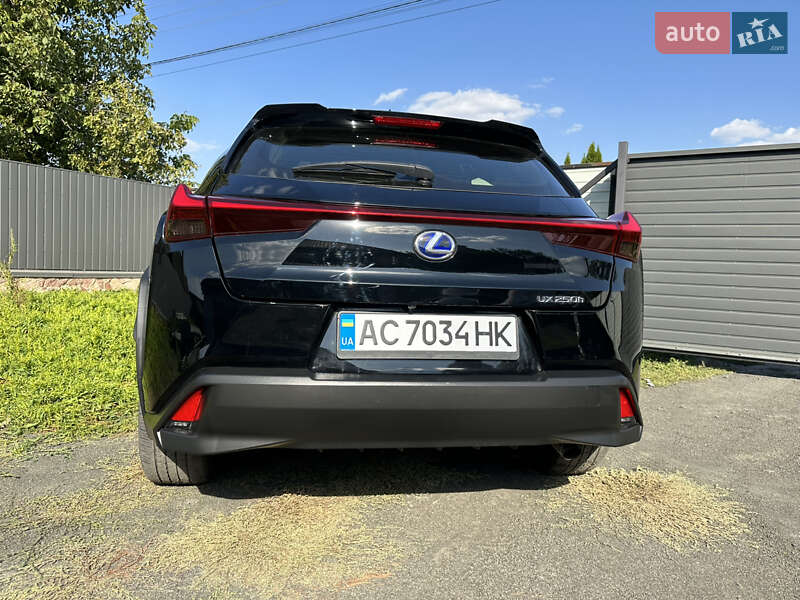 Позашляховик / Кросовер Lexus UX 2020 в Нововолинську