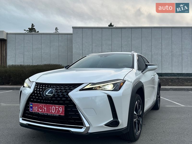 2019 Lexus UX 200, VIN JTHY3JBH5K2016803:plate — zdjęcie 1 (autoria)