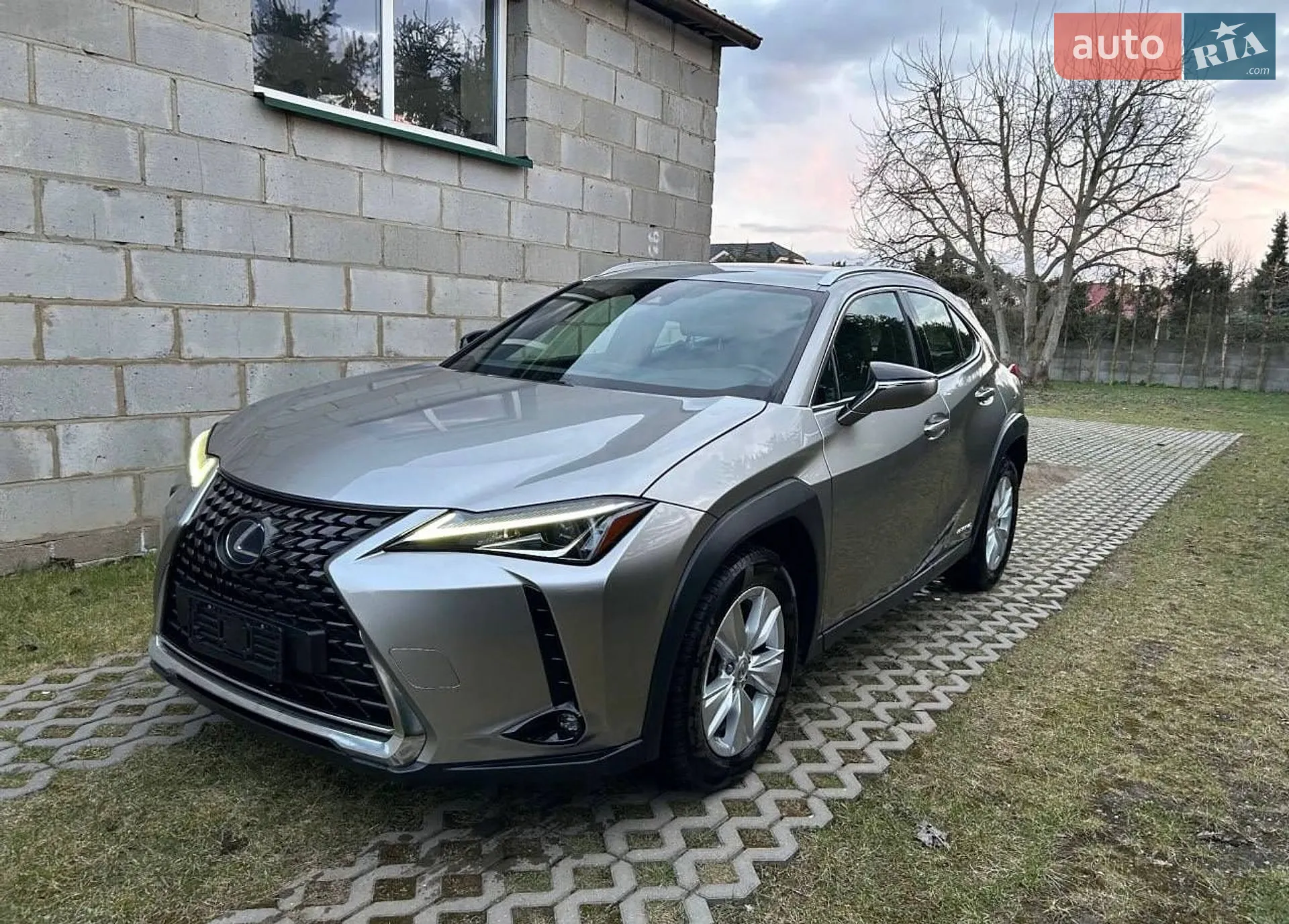 2020 Lexus UX - мініатюра 2