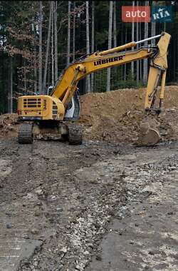 Гусеничний екскаватор Liebherr R 924 2007 в 