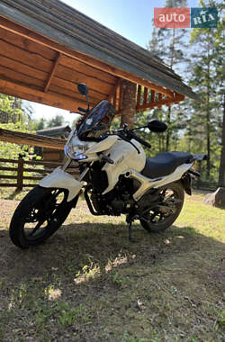 Мотоцикл Многоцелевой (All-round) Lifan KP 200 2025 в Олевске