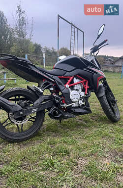 Мотоцикл Классик Loncin LX-300 CR-6 2017 в 