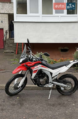 Мотоцикл Многоцелевой (All-round) Loncin LX 300GY-A 2023 в 
