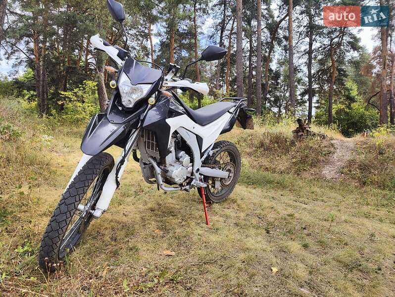 Loncin LX 300GY 2019